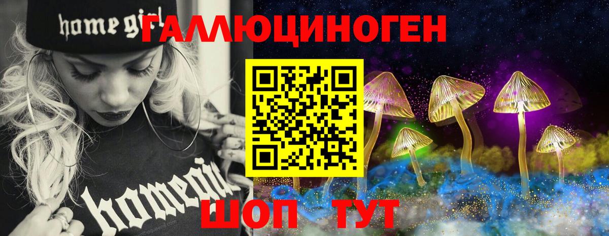Холмск  Галлюциногенные грибы мицелий  Вход с VPN 